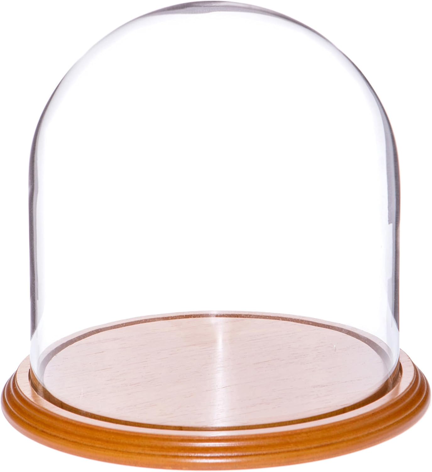 Plymor 8" x 8" Glass Display Dome Cloche (Oak Veneer Base)