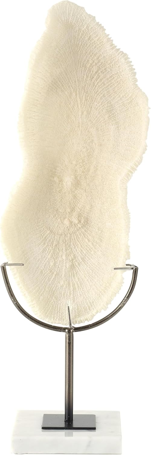 Deco 79 Polystone Coral Decorative Sculpture Abstract Textured Home Decor Statue with Gray Stand and Acrylic Base, Accent Figurine 7" x 5" x 19", Cream