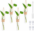 ARTORA Plant Propagation Hanging Glass Planter Terrarium Wall Mounted Decorative Flower Vase Hydroponic Plant Cultivation Test Tube for Home Office Decor (4PCS)