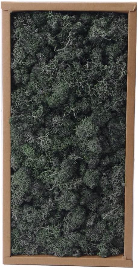 Preserved Reindeer Craft Moss - 17.6oz Natural Green DIY Kit for Terrariums, Wall Art & Decor