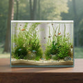 3 Gallon Glass Fish Tank Cube, Small Aquarium Fish Bowl for Betta Goldfish Snails Shrimp Aquatic Planting, Easy to Maintain Ultra Clear Rimless Design for Desktop Small Spaces