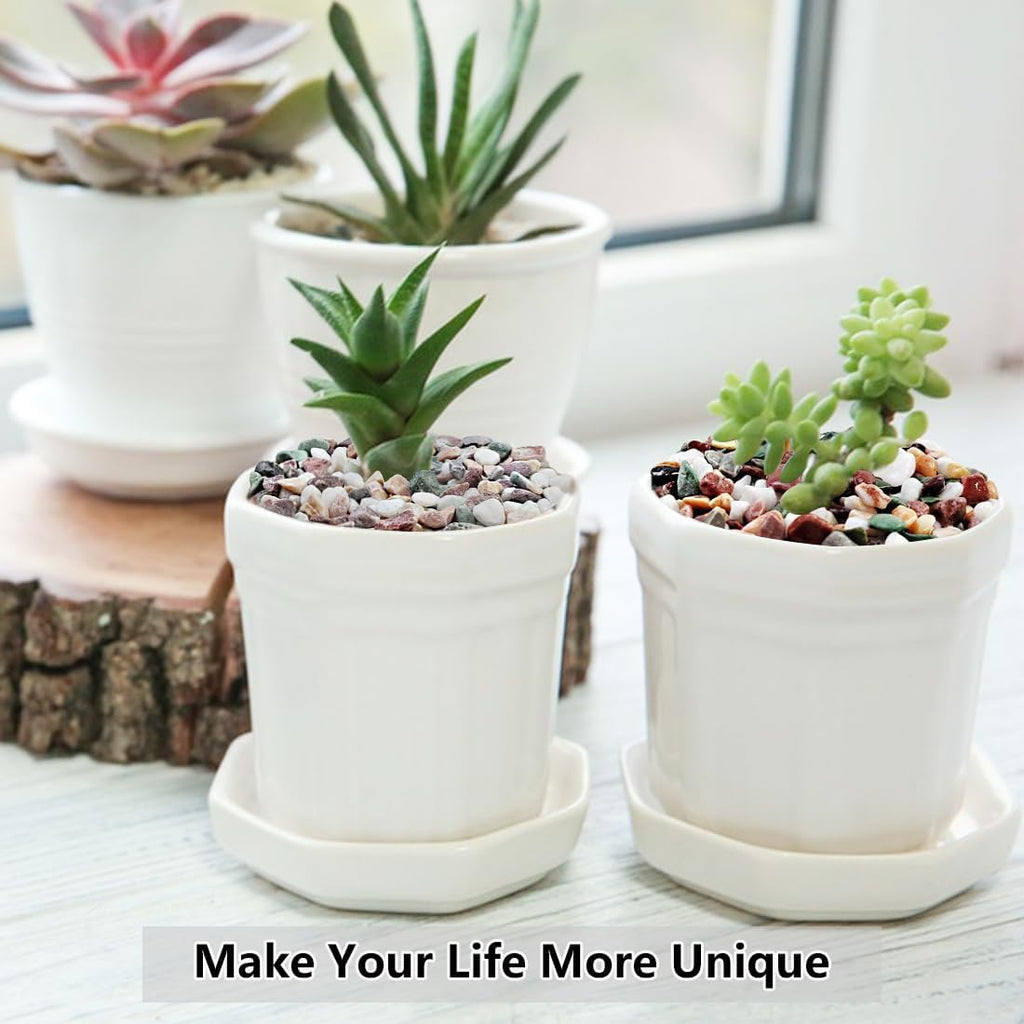 5LB Succulent and Cactus Gravel Pebbles, 1/5 Inch Natural Decorative Polished Stones, River Rocks for Vases Gardening Indoor and Outdoor Decorative Rocks, Colorful