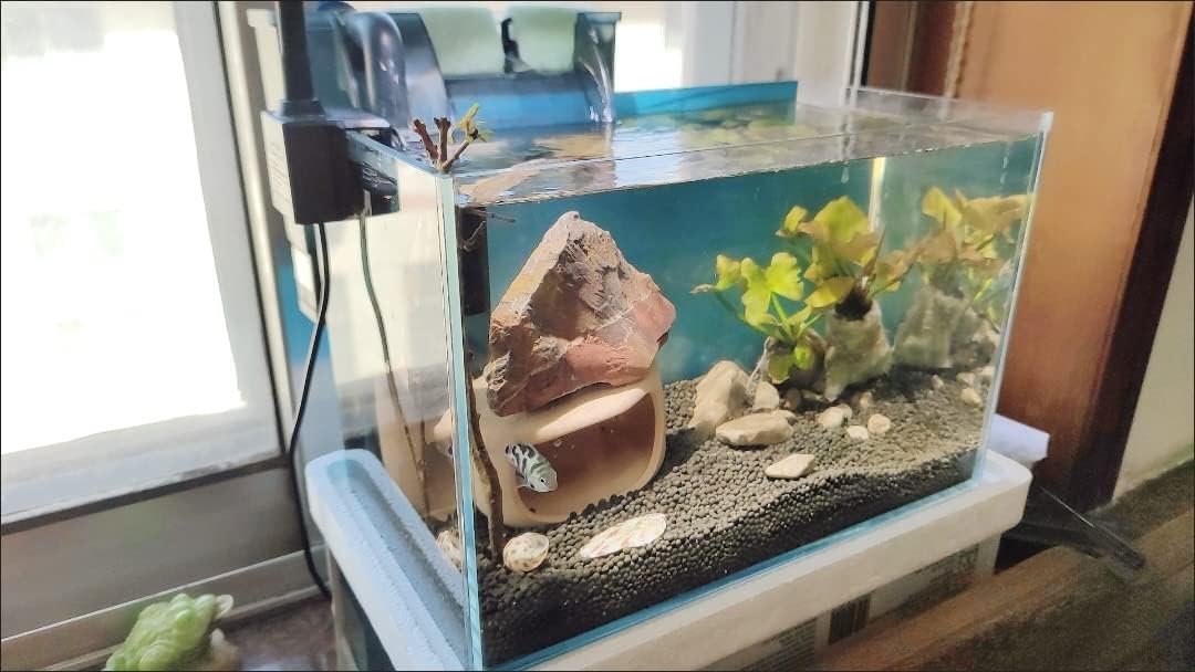 Small Nano Tall Rimless Tank, Glass Fish Tank, Betta Fish Tank, Aquarium (2.85 Gal, 11.8x6.7x7.8 inch)