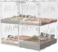 Acrylic Reptile Terrarium, 4 Grid Clear Tank with Ventilation Holes,4 Grids Cage Enclosure Box Enclosure Reptile Pet Display Containers Front Opening Design for Snakes, Spiders, Beetles