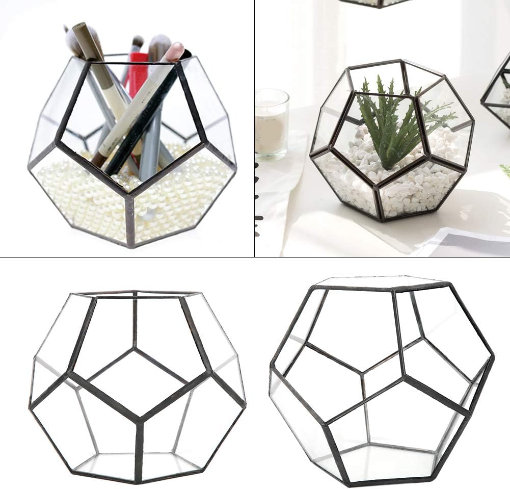Black Geometric Glass Terrarium Planter Pentagon Flower Pot Glass Terrarium Container for Succulents Fern Air Plants Mini Tabletop Decor Centerpiece