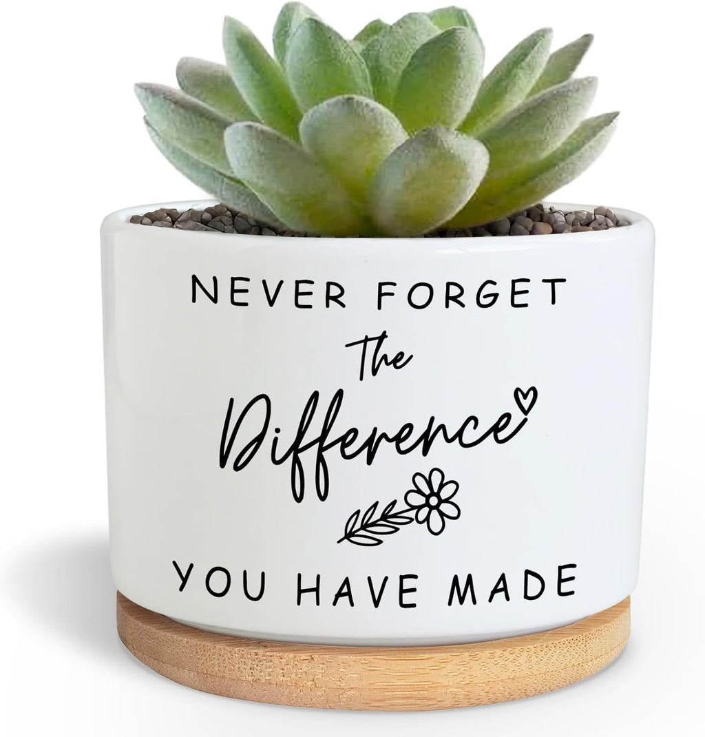 Funny Succulent Planters for Indoor Plants, Coworker Thank You Gifts, Farewell Going Away Appreciation Inspirational 3.5 inch Ceramic Cactus Planter Pots for Women Men Friend Boss Lady (No Plants)