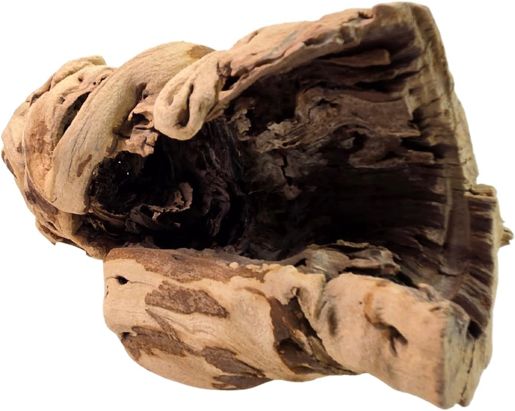 Koyal Wholesale 18" Hollow Grapewood Branch Decor 1Pcs Grapewood Centerpiece Vase Air Plants Sand Blasted Grapevine Wood Untreated Terrarium Wood Driftwood Decor