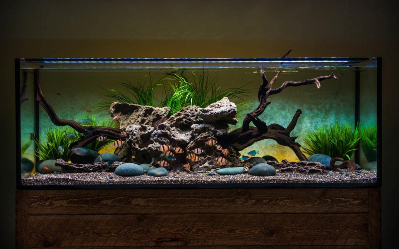 CURRENT USA 72" Satellite Color RGBW Full-Spectrum LED Aquarium Light - Freshwater, Wireless 24-Hour Timer, Adjustable Tank Mounts (4514)