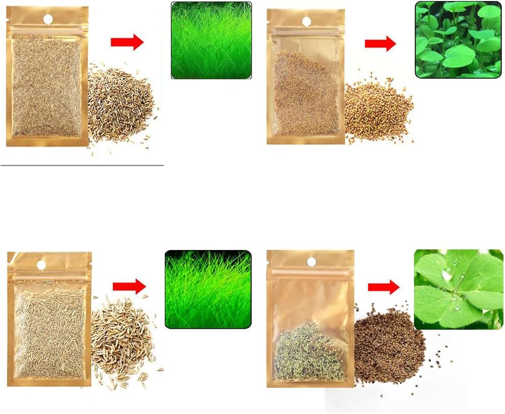 4 Pack Aquarium Plant S.e.e.d Set, not Artificial plasticl Plant. Real Grass Tank Decor Replacement for Resin or Plastic Grass N0：9527-11