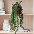 Twister Lipstick Plant for Planting | 4 inch Tall Potted Curly Lipstick Plant Live Houseplants | Easy-Care Indoor Plant with Unique Twisting Foliage