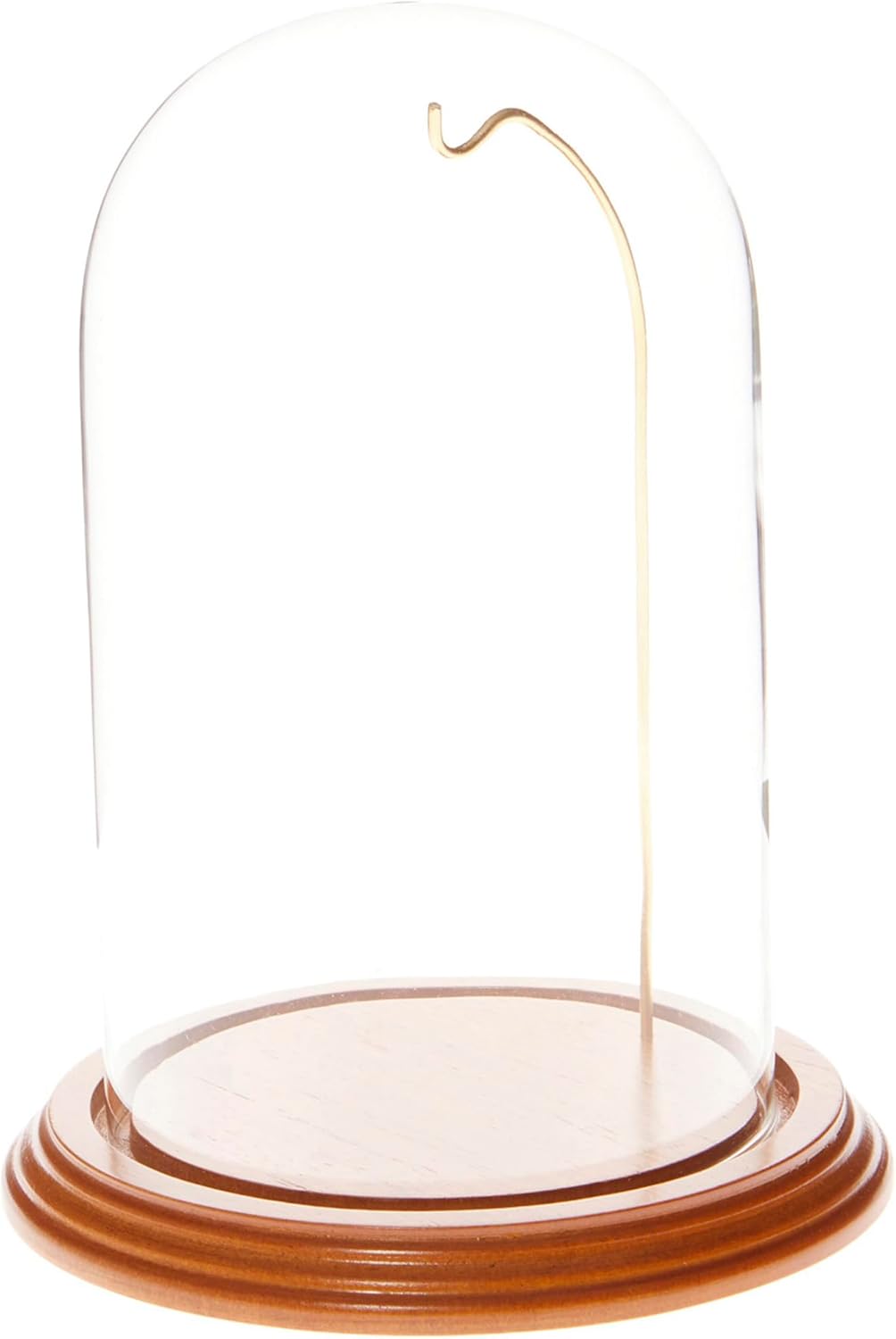 Plymor 4.5" x 8" Watch/Ornament Glass Display Dome Cloche (Oak Veneer Base & Gold Wire)