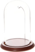 Plymor 4.5" x 8" Watch/Ornament Glass Display Dome Cloche (Walnut Veneer Base & Silver Wire)