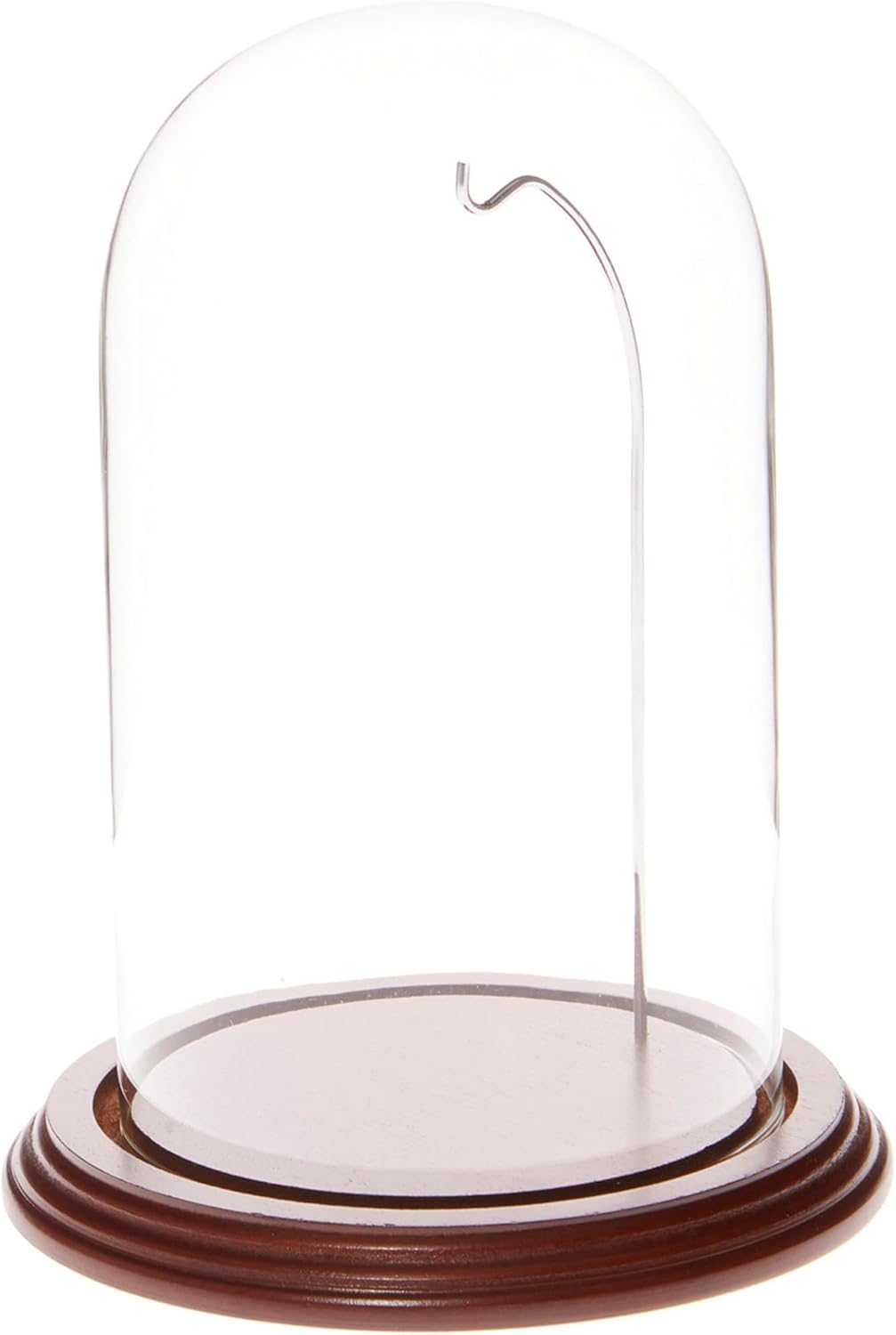 Plymor 4.5" x 8" Watch/Ornament Glass Display Dome Cloche (Walnut Veneer Base & Silver Wire)