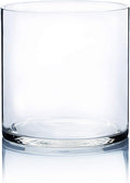 WGV Cylinder Vase, Width 7", Height 7", Clear Wide Large Diameter Flower Glassware, Floral Container, Planter Terrarium for Wedding Party Event, Home Accent Decor, 1 Piece