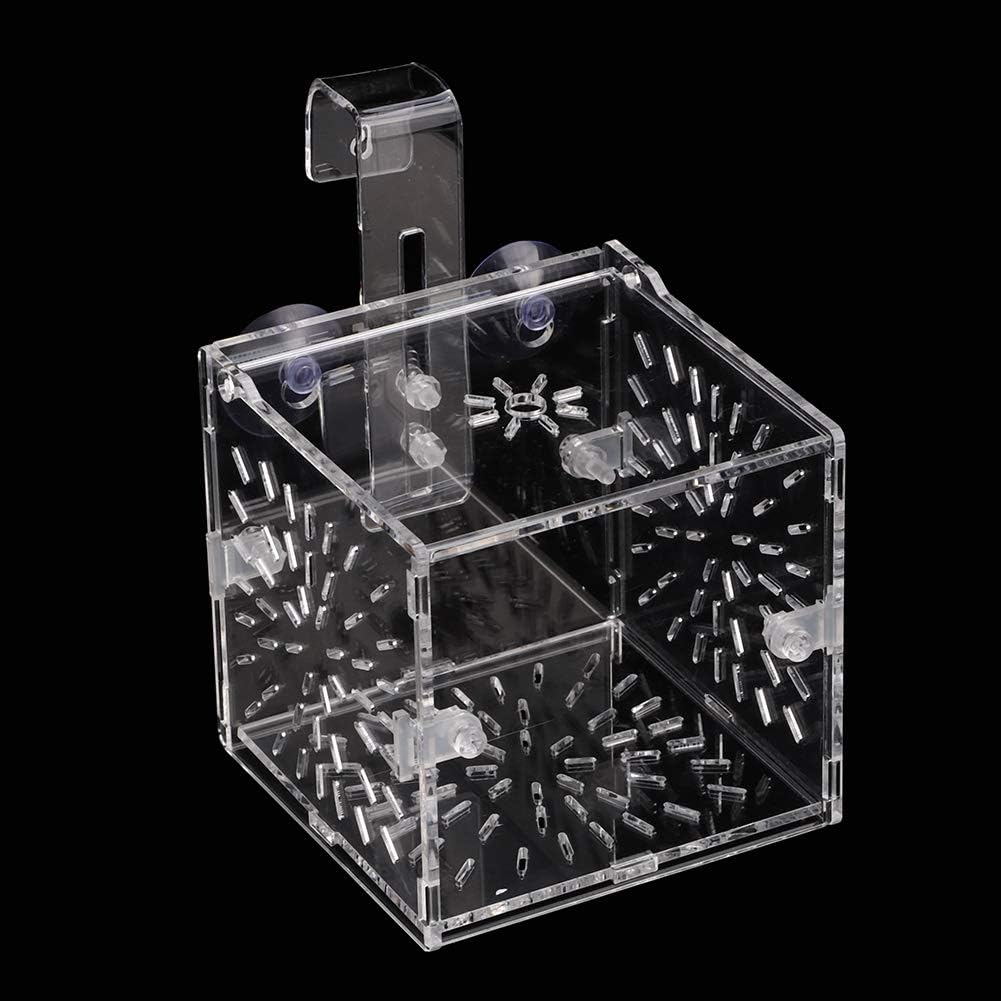 GLOGLOW Aquarium Breeding Isolation Box, Transparent Acrylic Fish Isolation Box Fish Separator with Suction Cups for Small Baby Fishes Shrimp Clownfish Guppy(10CM*10CM*10CM)