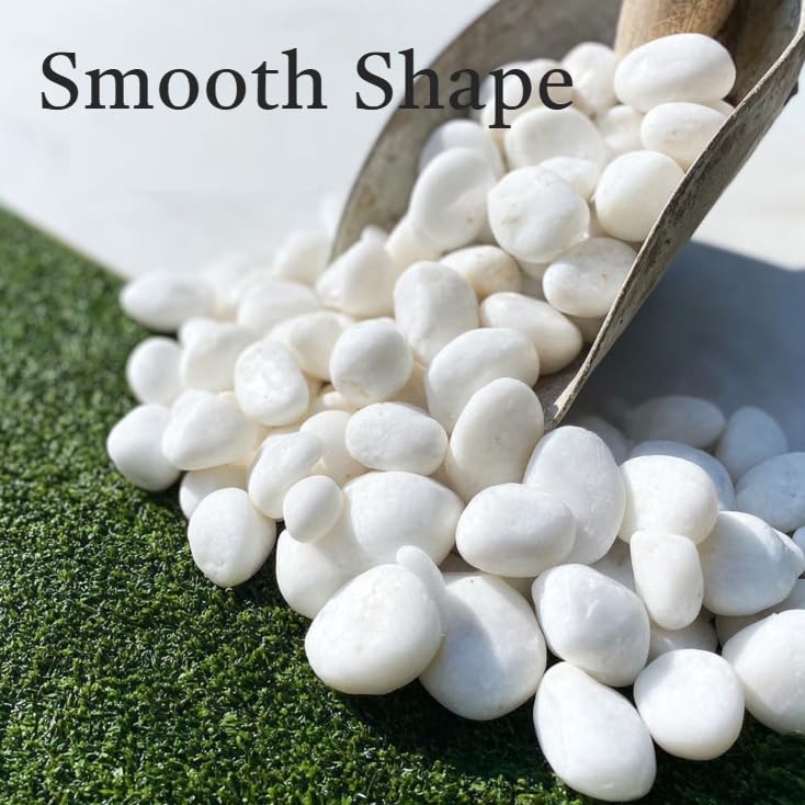 20lbs White River Rocks for Landscaping, 1Inch Natural Pebbles for Indoor Plants, Polished Decorative Gravel, Garden Stones for Outdoor Landscaping, Aquarium Fish Tanks, Vases