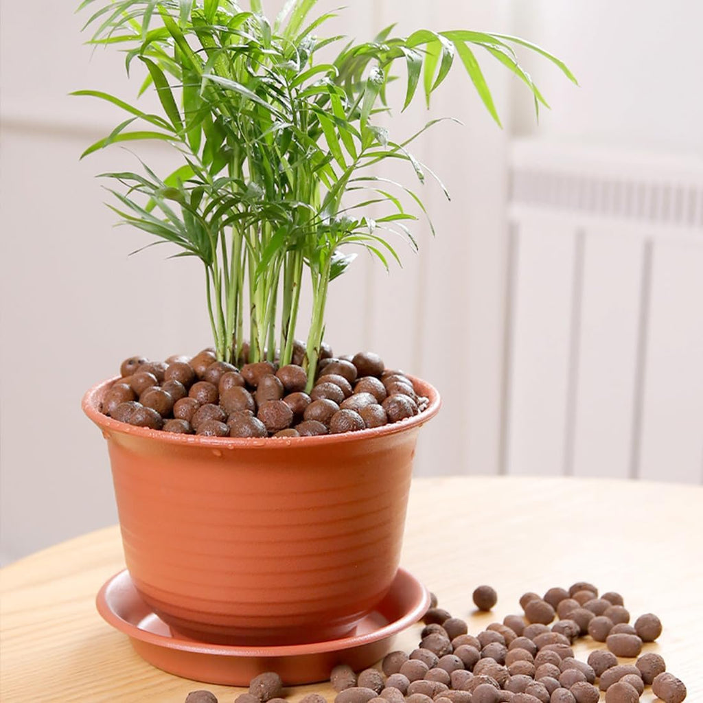 Clay Pebbles for Plants, 8mm-12mm Expanded LECA Balls Plant Garden Soil, Hydroponic, Aquaponics, Natural Leca Balls for Soil Root Development, Orchid Potting Mix, 5lb