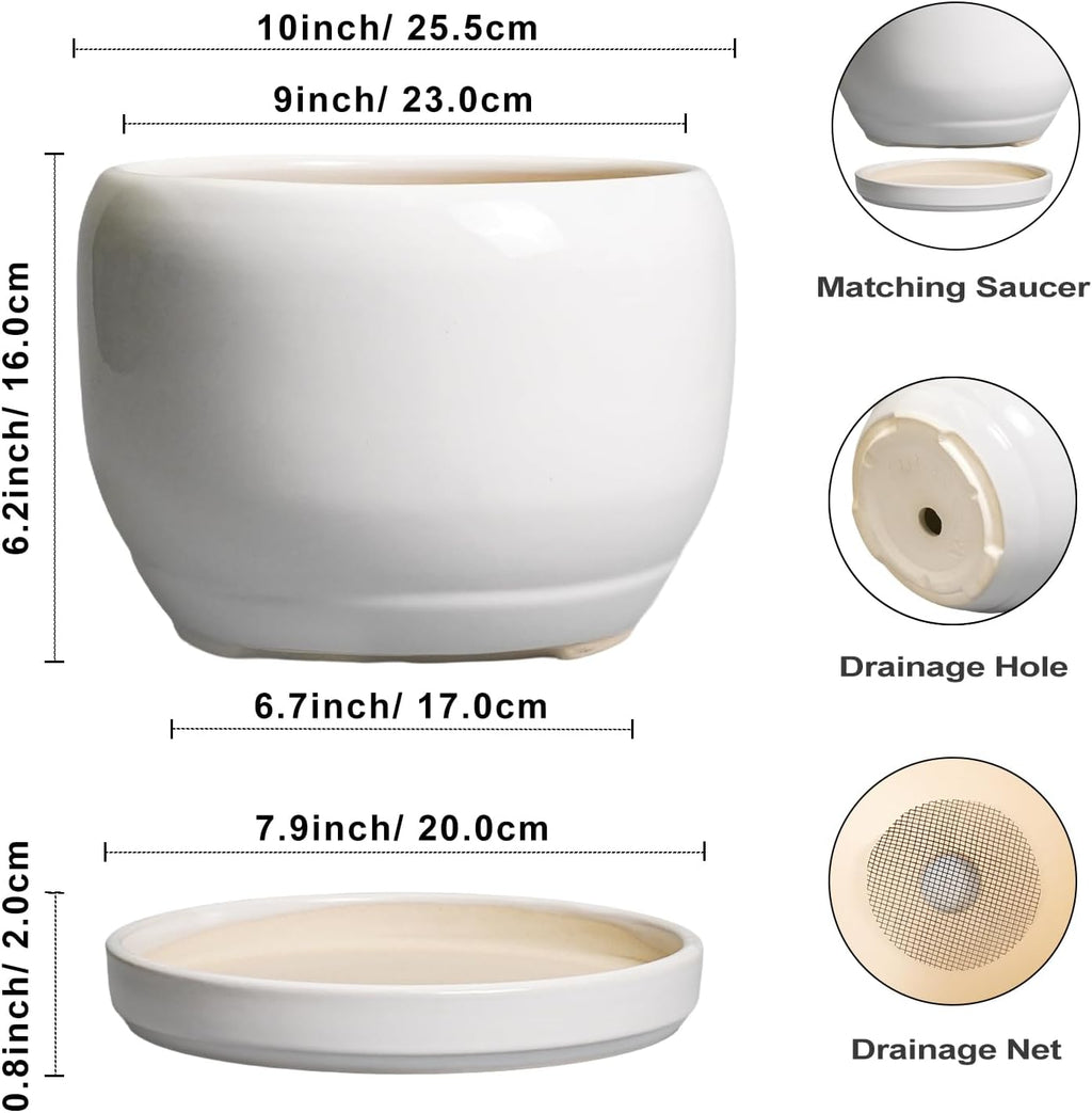 SQOWL Ceramic Pot for Plants - 10 Inch Planter with Drainage Hole and Saucer, Round Ceramic Flower Pot for Indoor Outdoor, Modern Decorative Large Planter, Patio Decor, Gifts for Plant Lovers, White