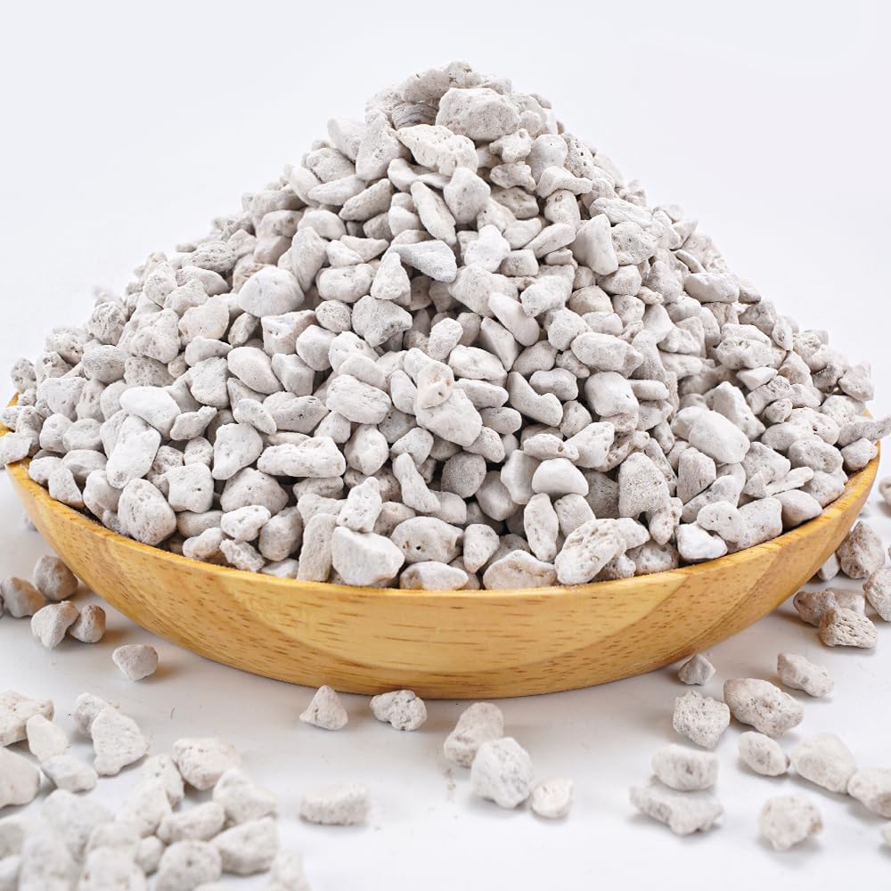 TOYPOPOR Horticultural Bonsai Pumice Succulent Cactus Plants Garden Turface Pumice Gravel Rock Tree Soil Additive Faster Draining Blend, Optimal Drainage, Improves Soil Aeration and Promotes Root 6lbs