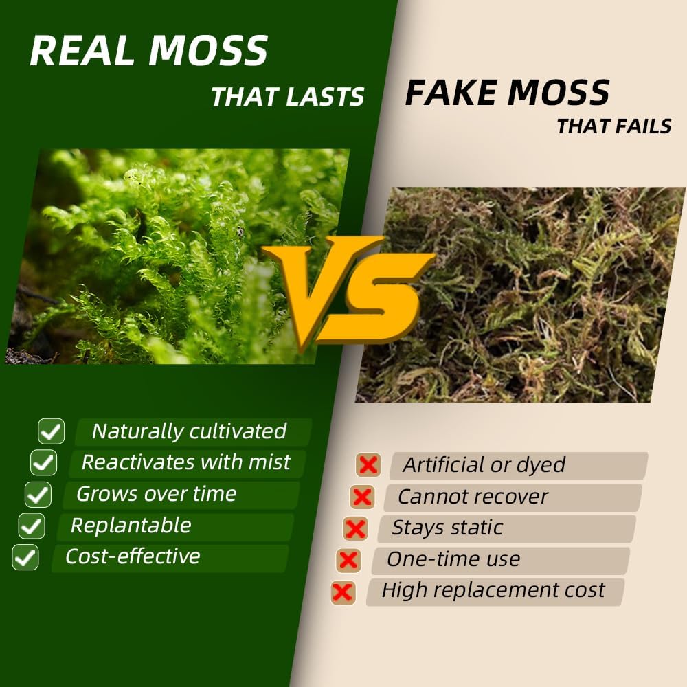 Live Moss Variety Pack – 3 Real Moss Types (Each 3.5"x7"), Decorative Moss for Terrariums, Bonsai, Fairy Gardens, and Plant Craft Projects – Reusable, Naturally Grown, Not Artificial