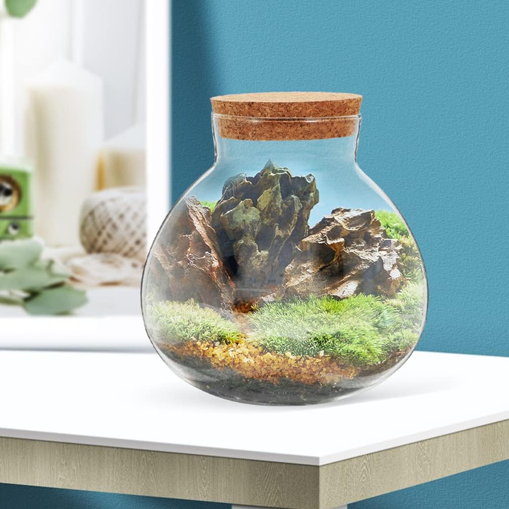 2Pcs Spherical Glass Terrarium Bottles with Cork Lid Clear Airtight Sealed Jars for Micro Landscape Succulent Plants Home Decor 5.11 Inch
