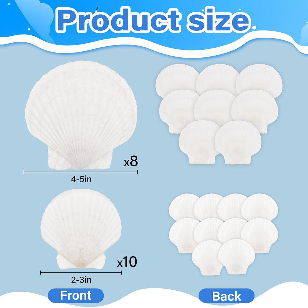 18PCS White Large Scallop Purely Natural Seashells 4-5in and Medium Shells 2-3in for Crafting, Scallop Shells Bulk for Beach Wedding Decorations, Ocean Seashell Party Decorations, Cooking or Painting