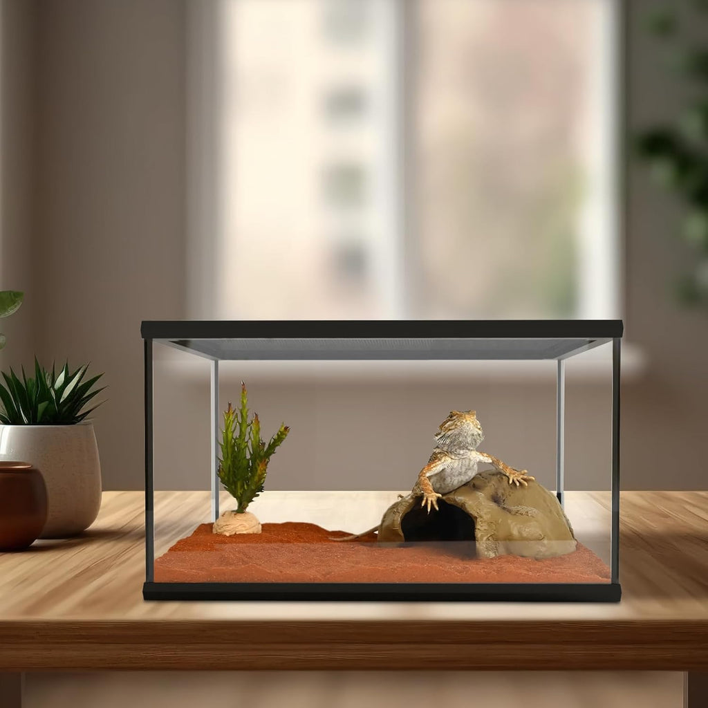 Reptile Glass Tank 16"x11"x9" Terrarium with Top Opening and Screen Ventilation for Leopard Gecko,Lizard,Hermit Crab,Snake,Spider,Frog,Bearded Dragon,Turtle with Feeding Tongs