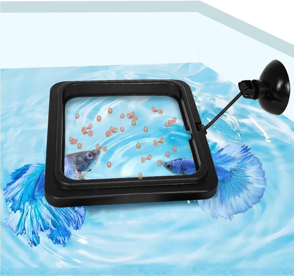 Fish Feeding Ring, Fish Safe Floating Food Feeder Circle Blue, with Suction Cup Easy to Install Aquarium, Square and Round Shape Fish Tank Towels - for Guppy, Betta, Goldfish, Etc (1 Square)