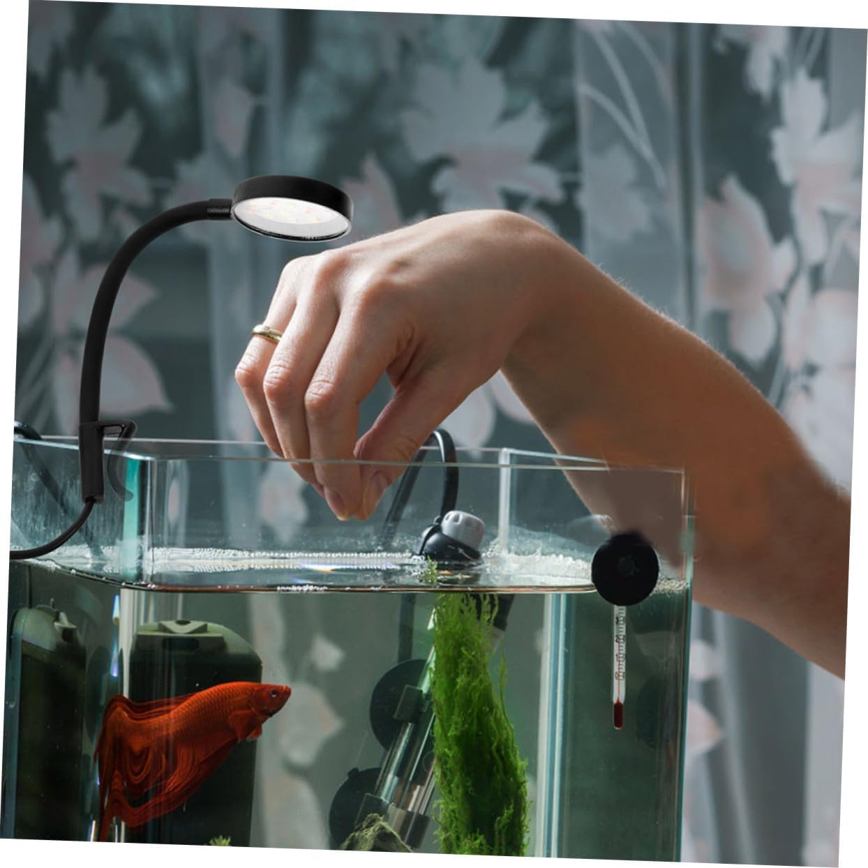 TEHAUX 2pcs Clip Aquarium LED Light Compact Fish Tank Lamp with Rotation USB Mini LED Light for Freshwater Tanks