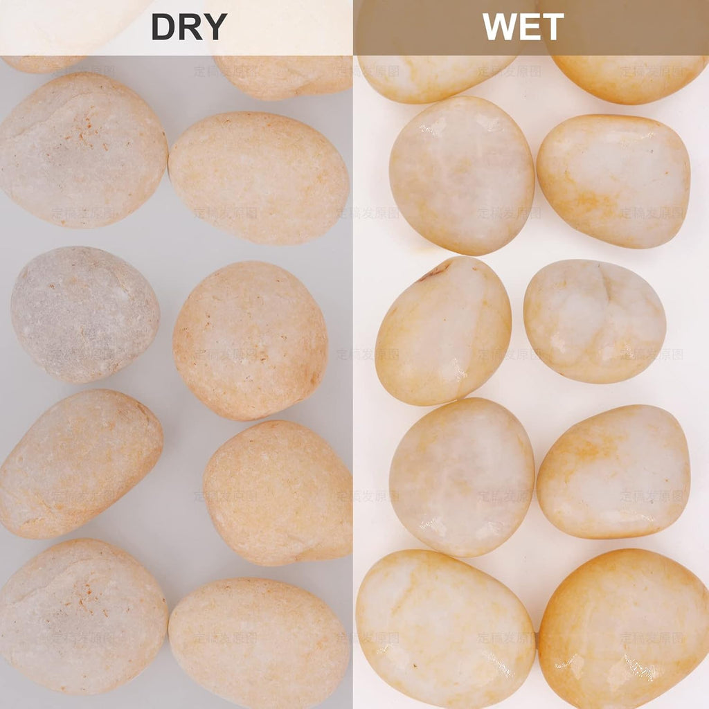 10lb Cream White River Rocks Outdoor Landscaping- Polished Pebble for Plants – Garden Decorative Stones-1-2 Large Plant Rocks,Ideal for Aquarium, Home Decor