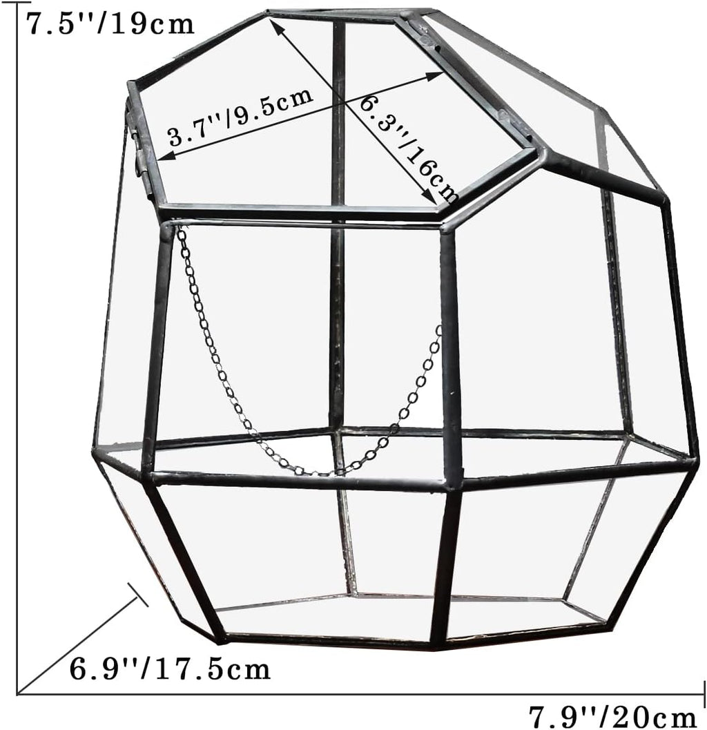 NCYP Handmade 7.5inches Small Close Geometric Terrarium with Door, Black Irregular Glass Planter, Modern Succulent Cacti Flower Pot, Home Garden Decor DIY Gift (Plants and Props NOT Included)