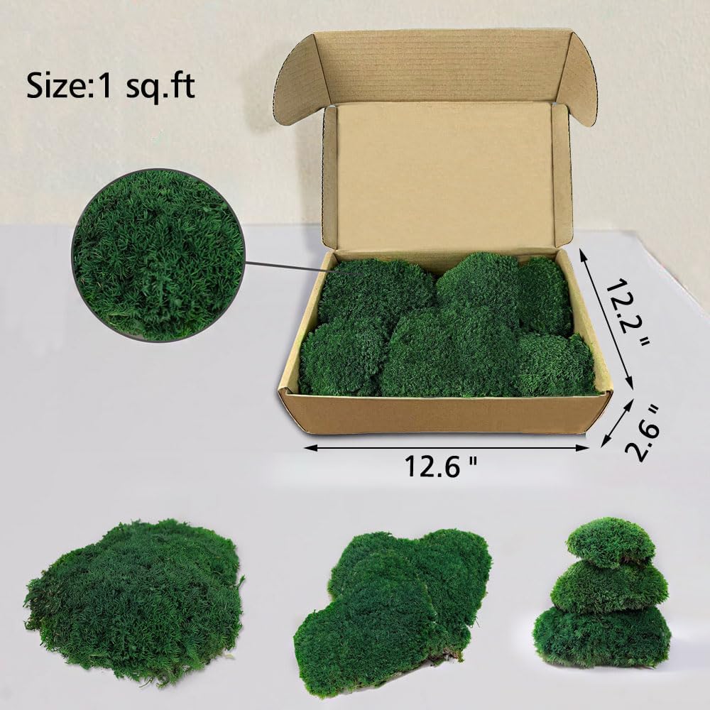 TCYPUHL Preserved Pillow Moss Bulk (1 Sq.Ft Dark Green) - Natural Cushion Moss for Wall Art, Home Decor - Christmas Crafts, Holiday Decorations and Gift Giving DIY Craft, Floral Arrangements