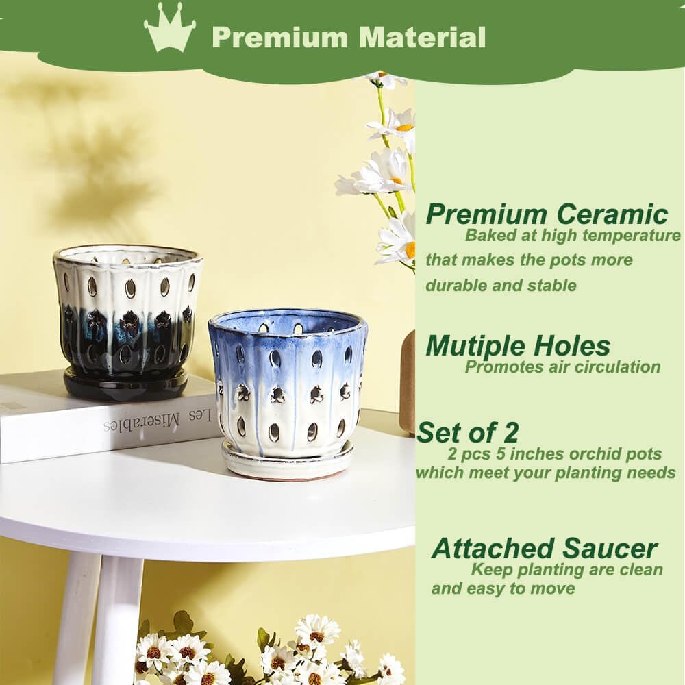 Orchid Pots with Holes Attached Saucers 5 Inches - 2 Pcs Small Ceramic Pots for Repotting, Decorative Ceramic Orchid Planter with Hole for Healthy Root Growth Mixed Color