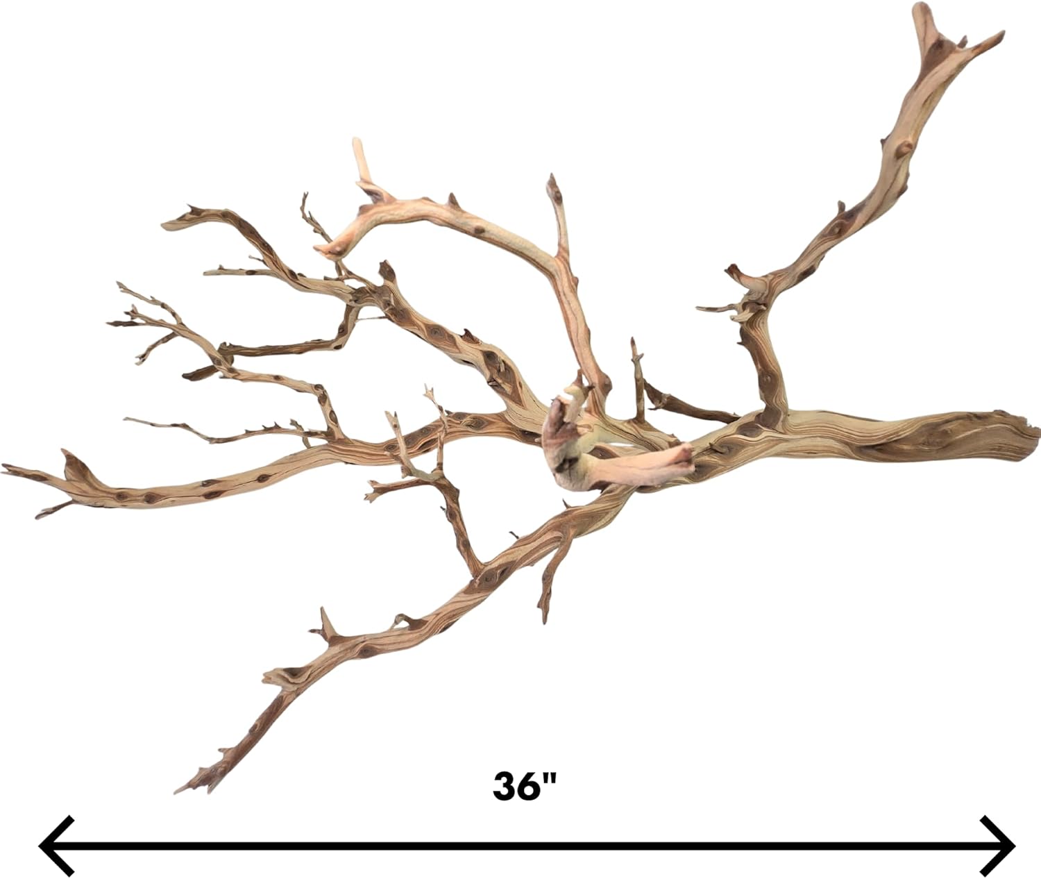 Koyal Wholesale California Driftwood with Natural Brown Branches, 36-Inch Large Driftwood Decor