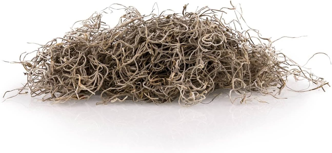 Gardenera Premium Natural Spanish Moss | Natural Preserved - Great Ground Cover - Filler for Potted Plants - 3 Quart Bag