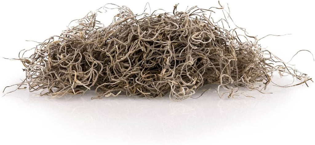 Gardenera Premium Natural Spanish Moss | Natural Preserved - Great Ground Cover - Filler for Potted Plants - 2 Quart Bag (GRD-SPANISH-MOSS-2QT)
