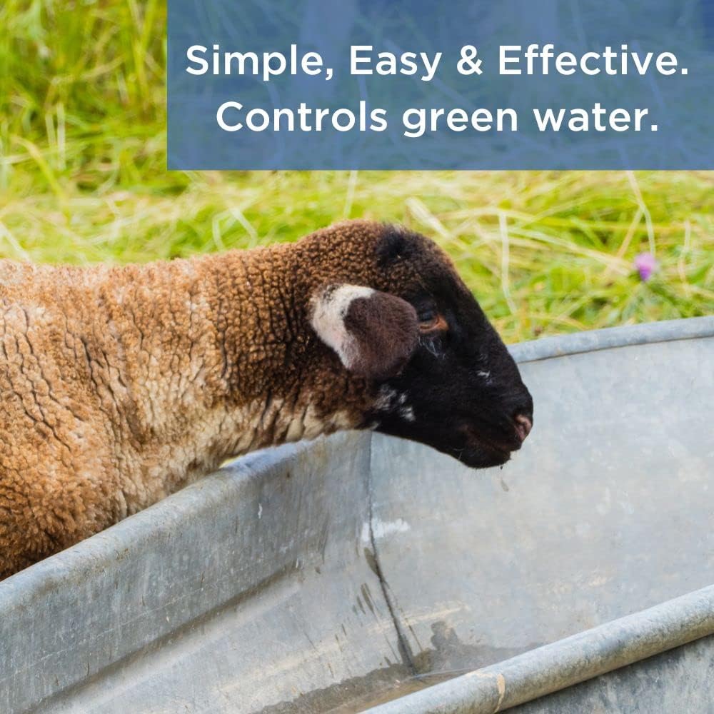 Healthy Ponds Stock Tank Water Trough Cleaner for Horse, Cattle, Goat & Chicken | All-Natural Safe & Easy to Use 250 Gallon - Reloadable Dispenser