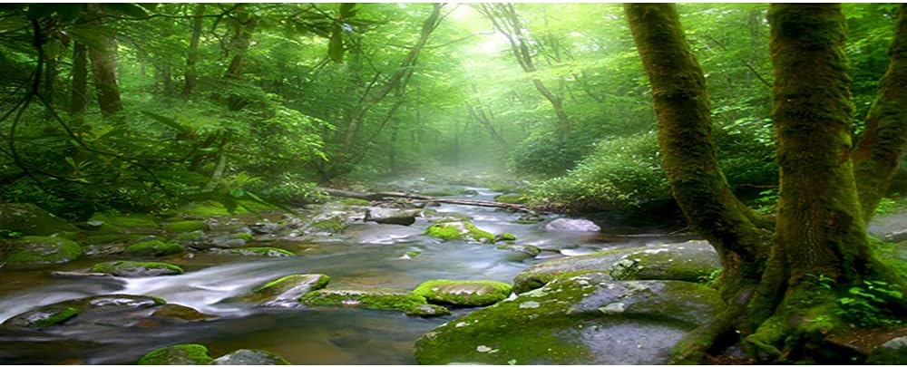 OERJU 72x18 inches Rainforest Terrarium Background - Deep Forest Tank Aquarium Background with Sunny Stream Stones, Trees, Grass, Tropical Plants - Durable Polyester