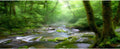 OERJU 72x16 inches Rainforest Terrarium Background - Deep Forest Tank Aquarium Background with Sunny Stream Stones, Trees, Grass, Tropical Plants - Durable Polyester