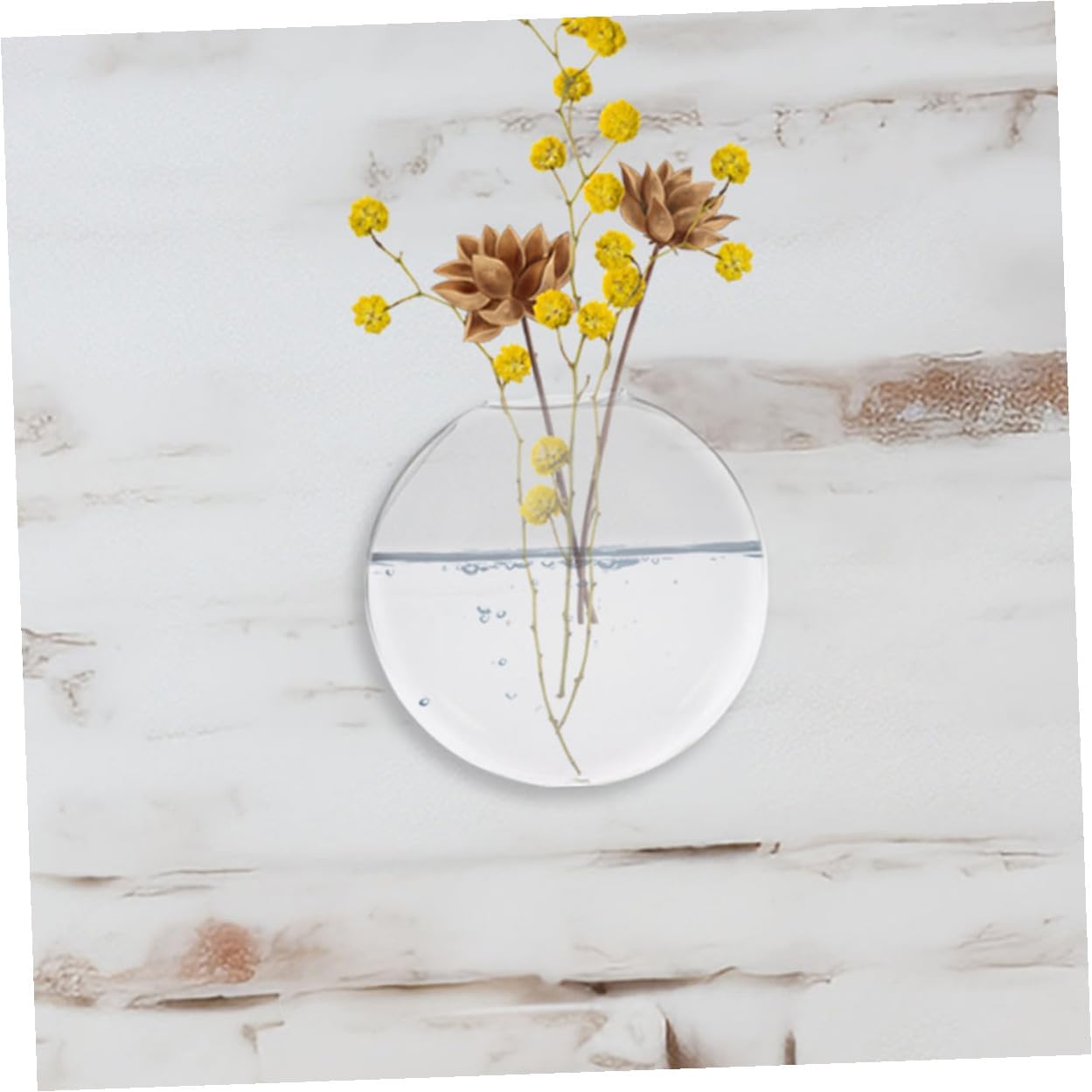 2pcs Clear Glass Wall Vases for Hydroponic Plants Transparent Hanging Terrarium Bowls with Wallmount Design Space-Saving Decorative Containers for Indoor Root Display and Easy