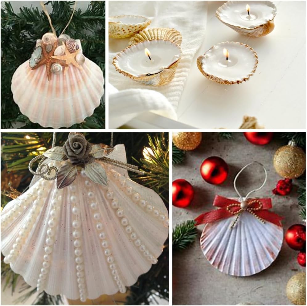 Large White Natural Scallop Seashells 2-3 Inch 12 Pack Decorative Sea Shells for DIY Painting Projects,Coastal Crafts,Beach Theme Decor,Wedding Centerpieces, Aquarium Decorations,Vase Fillers
