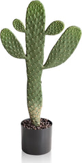 Artificial Cactus Potted Plant Faux Cacti 19 Inch Cactus Plant with Black Planter for Home Garden Office Decor Indoor Outdoor