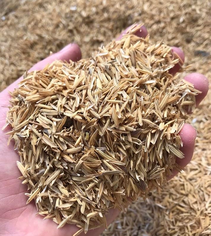 Gardenera Natural Rice Hulls - Eco-Friendly Mulch and Soil Amendment for House Plants and Chicken Bedding - 1 Quart