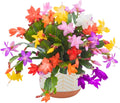 Christmas Cactus Plants Live, Thanksgiving Cactus Easter Cactus Like, 4-8 Inc Tall, Cold Hardy, Holiday Cactus for Indoor Outdoor Planting, Starter Size (Random Single Bloom)