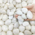 20 lbs White River Rocks, 1-2 Inch Polished Pebbles for Indoor Plants, Decorative White Stones for Plants, Vase, Aquarium, Fish Tank, Landscaping and Garden
