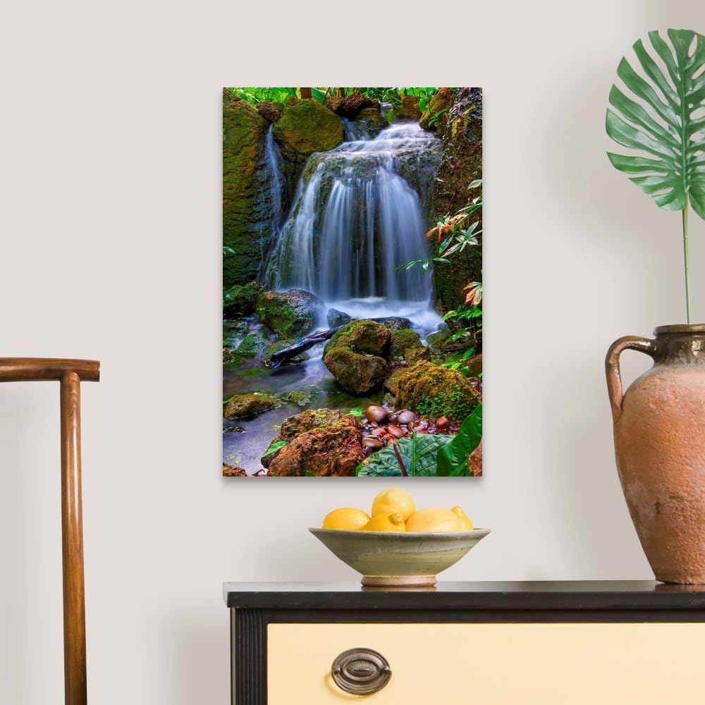 CANVAS ON DEMAND Waterfall in Tropical Rainforest of Fairchild Tropical Gardens, Canvas Wall Art Print, Home Decor, Floral, Flowers, Nature Artwork, 16" x24in