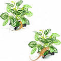 2 pcs Reptile Artificial Plants, Terrarium Plants Decorations Supplies, Amphibian Habitat Hideout Tank Accessories, Rainforest Ground Plant