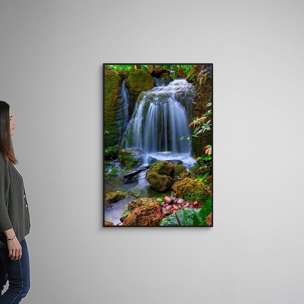CANVAS ON DEMAND Waterfall in Tropical Rainforest of Fairchild Tropical Gardens, Black Float Framed Canvas Wall Art Print, Home Decor, Floral, Flowers, Nature Artwork, 32" x48in