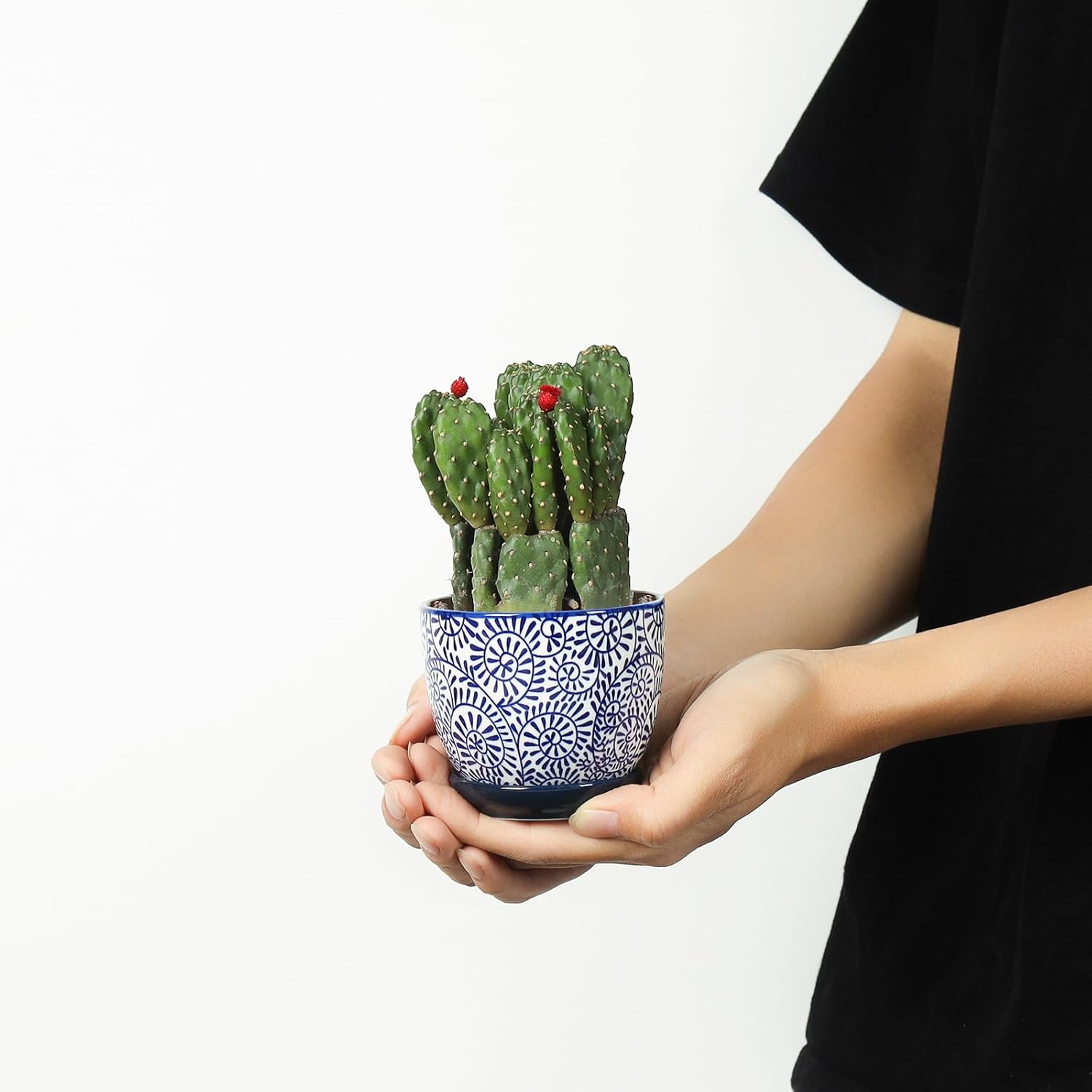 Selamica Ceramic Succulent Pots with Drainage Holes, Small Flower Pots 3.5 Inch Plant Pots for Indoor Plants with Saucers, Cactus Succulent, Home Decor, Set of 4, Vintage Blue