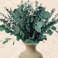 32 Pcs Large Dried Eucalyptus & Silver Dollar Leaves Bundle - 100% Natural Real Fresh Plants, 17" Preserved Eucalyptus Stems for Shower Hanging, Bathroom Decor, Garland, Greenery Plant (32)